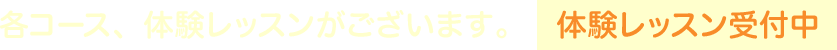 各コース、体験レッスンがございます。【体験レッスン受付中】